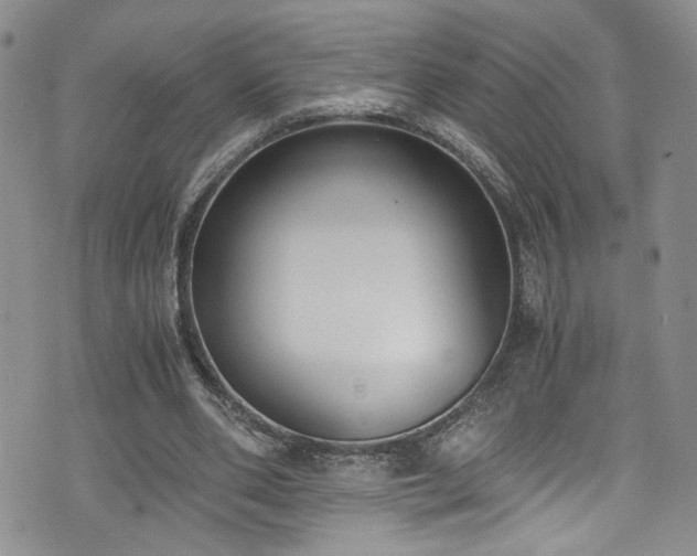 X0000076250486200609281143