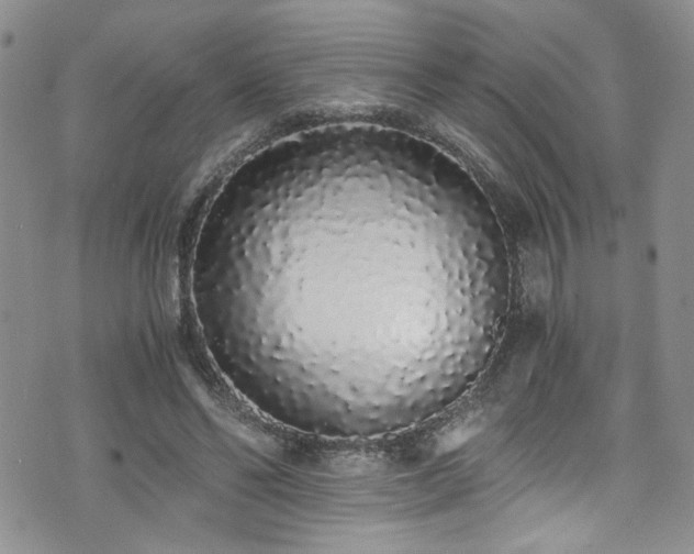 X0000076250494200609281143