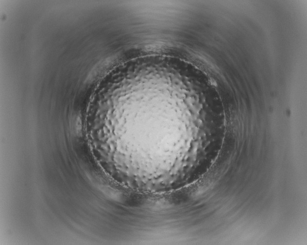 X0000076250502200609281143