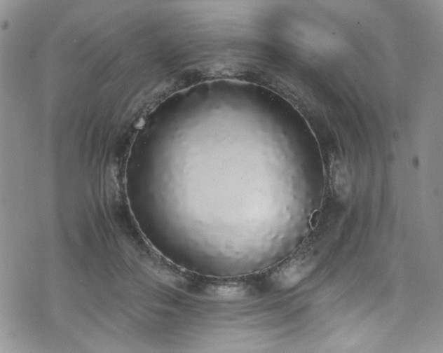 X0000076250506200609281143