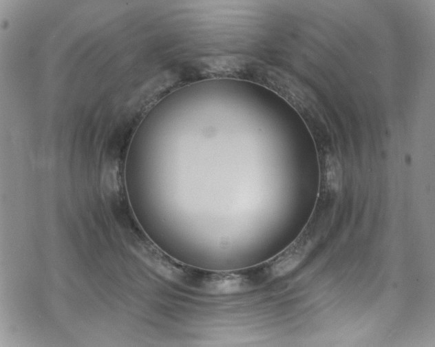 X0000076250514200609281143