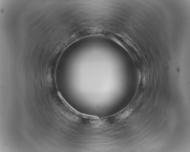 X0000076250516200609281142