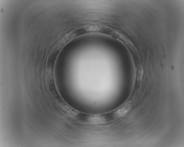 X0000076250521200609281142