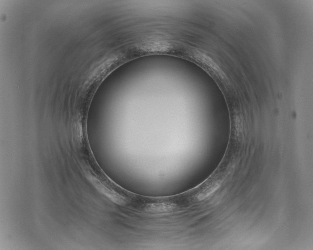 X0000076250541200609281142