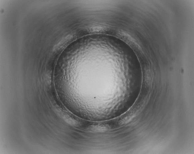 X0000076250545200609281142