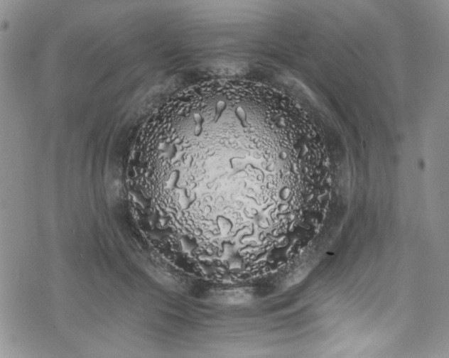 X0000076250553200609281142
