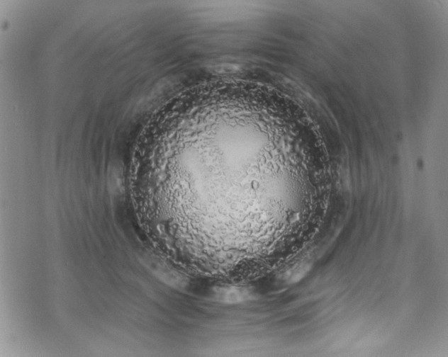 X0000076250561200609281142