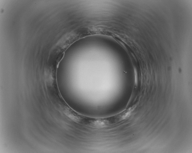 X0000076250566200609281142