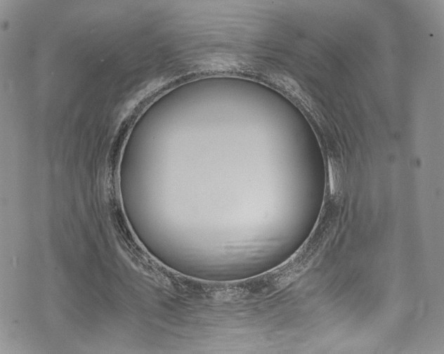 X0000076250579200609281141