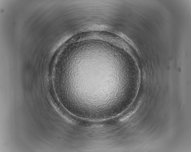 X0000076250581200609281141