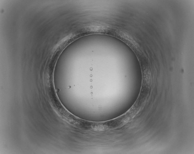 X0000076250587200609281141