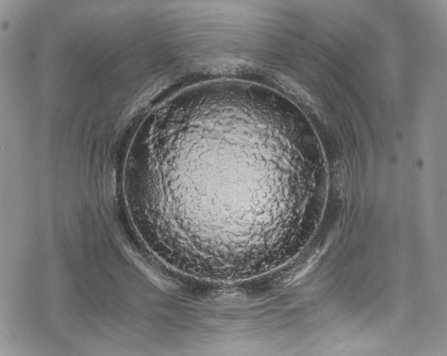 X0000076250589200609281141