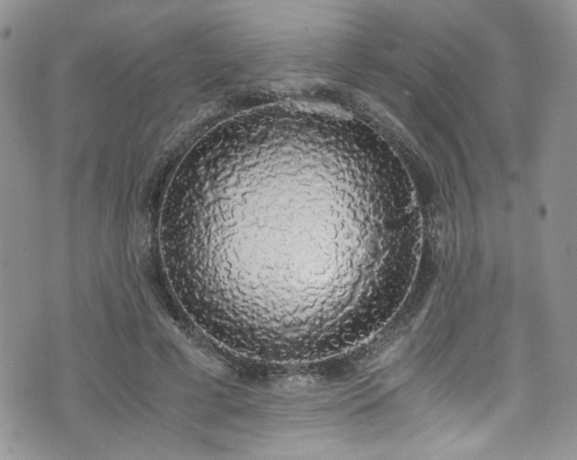 X0000076250593200609281141