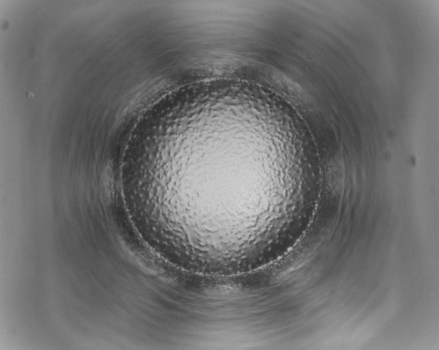X0000076250594200609281141