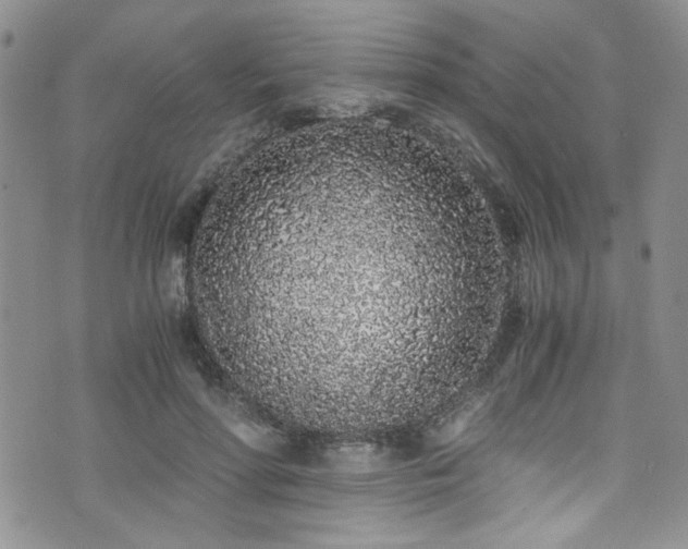 X0000076250598200609281141