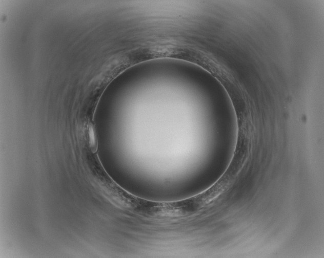 X0000076250601200609281141