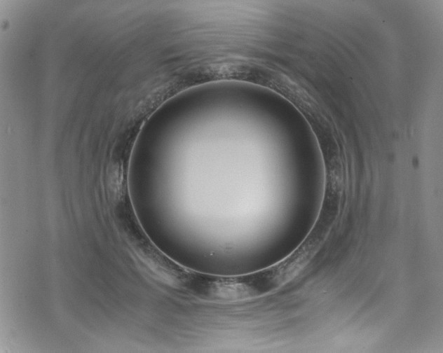 X0000076250605200609281141