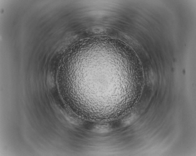 X0000076250606200609281141