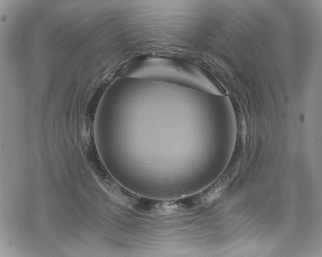 X0000076250607200609281141