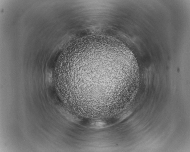 X0000076250610200609281141