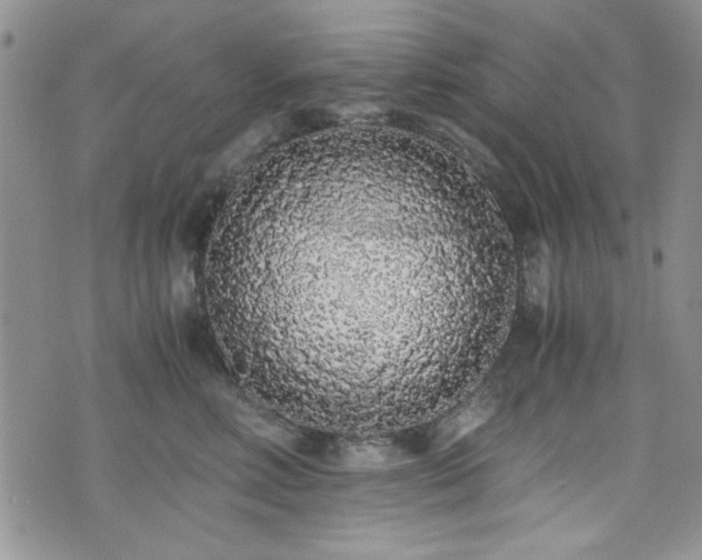 X0000076250618200609281141