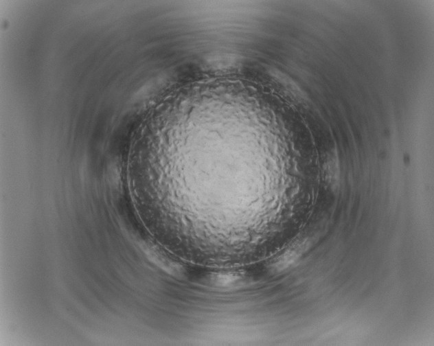 X0000076250662200609281141