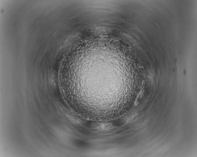 X0000076250663200609281141