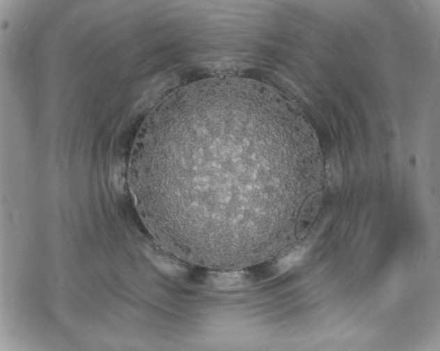 X0000076250671200609281141