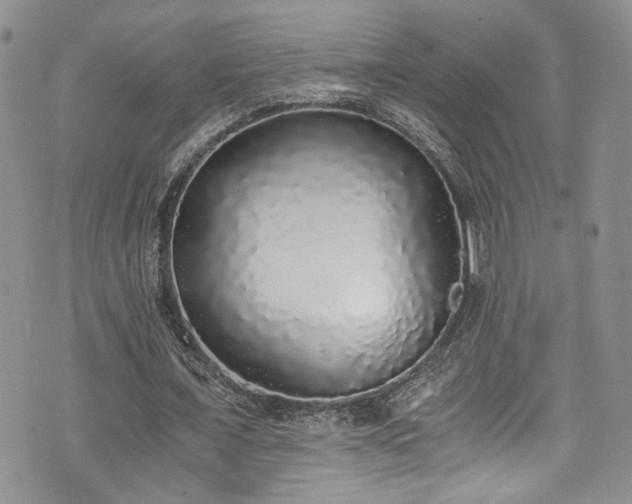 X0000076250675200609281140