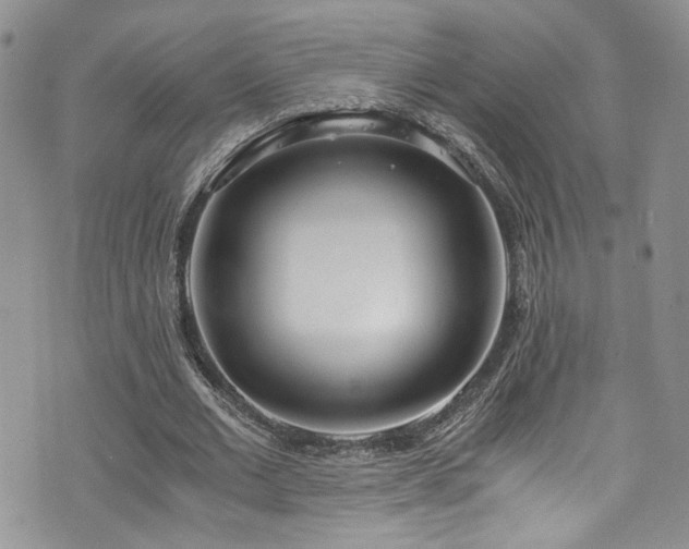 X0000076250677200609281140