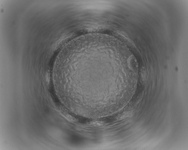 X0000076250691200609281140