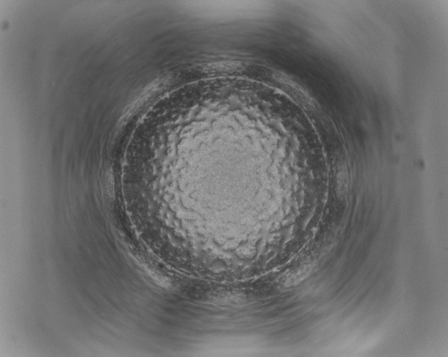 X0000076250729200609281138