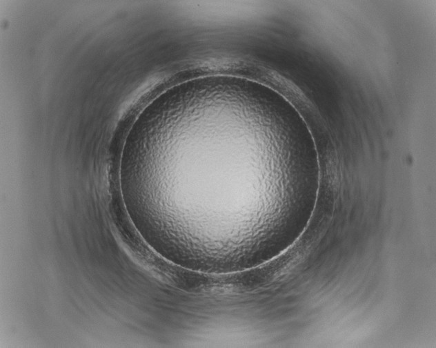 X0000076250730200609281139