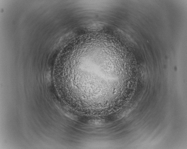 X0000076250745200609281139