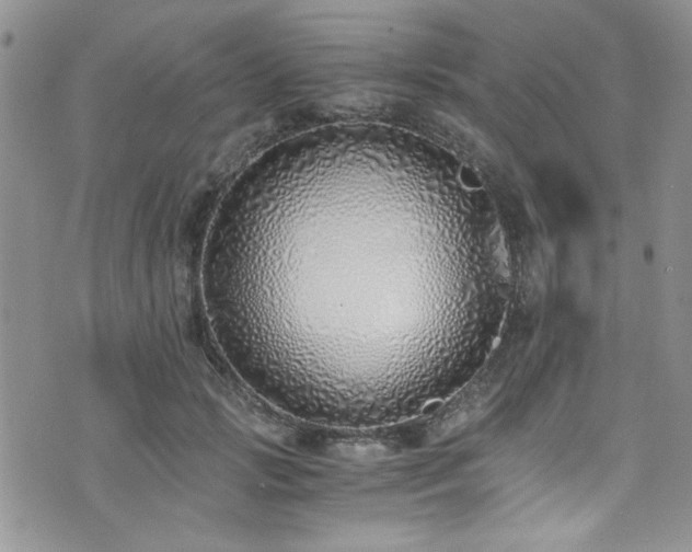 X0000076250749200609281139