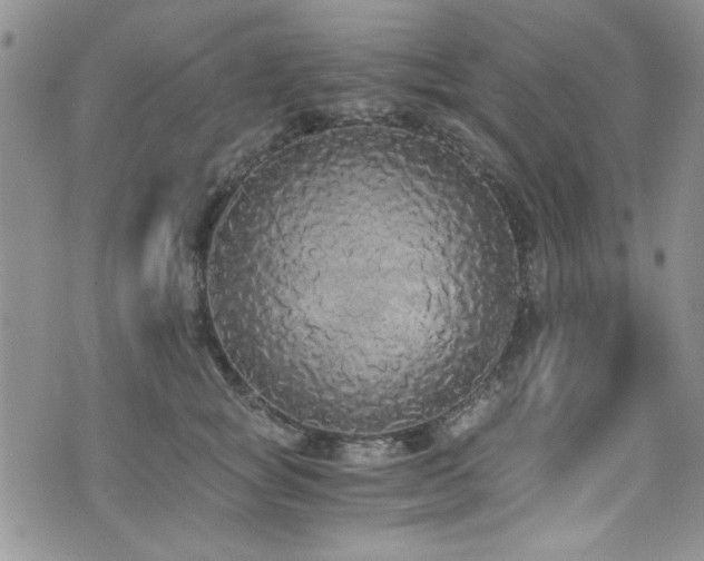 X0000076250757200609281139