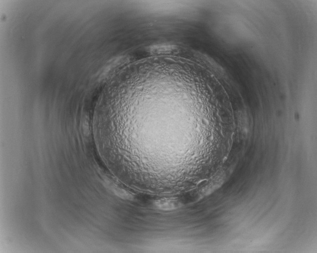 X0000076250761200609281139