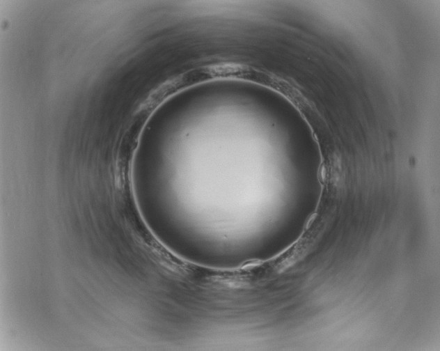 X0000076250763200609281139