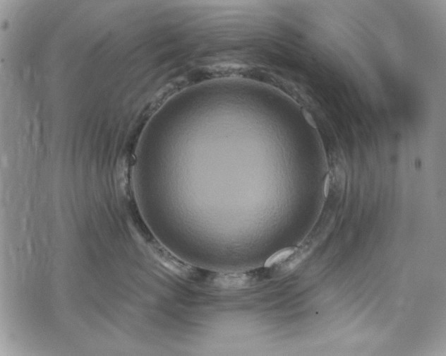 X0000076250767200609281139