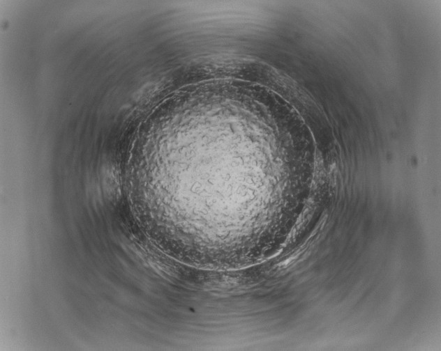X0000076250772200609281138