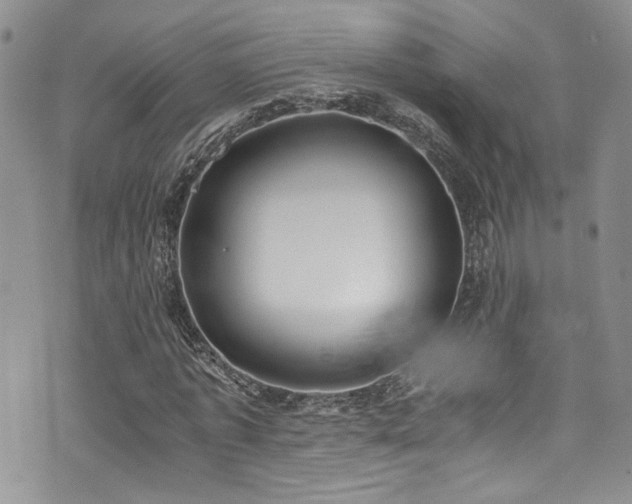 X0000076250773200609281138
