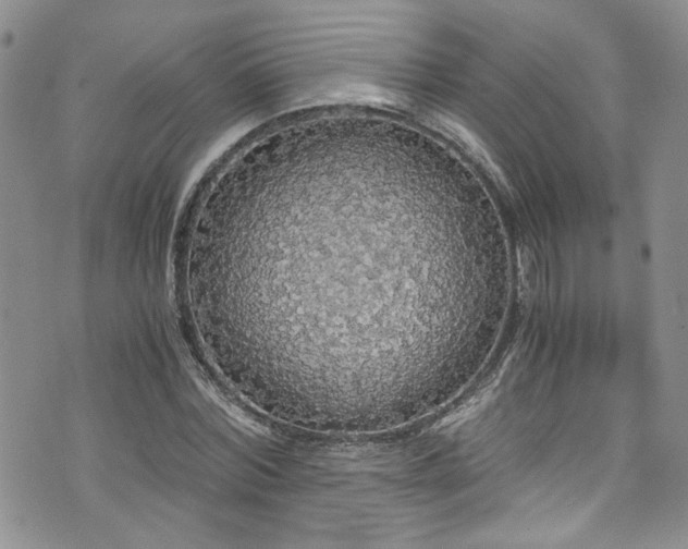 X0000076250780200609281138