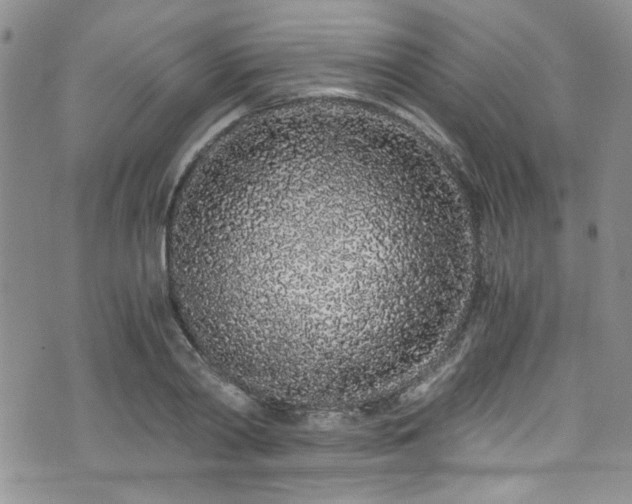 X0000076250790200609281138
