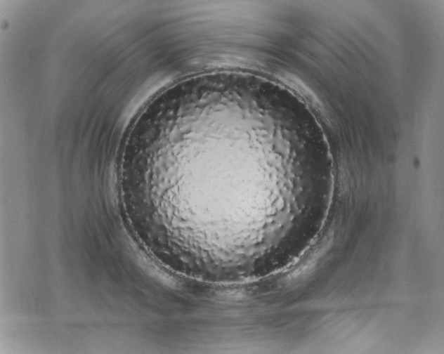 X0000076250798200609281138