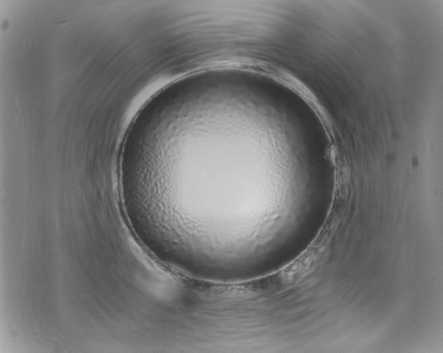 X0000076250811200609281138