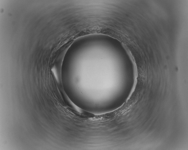 X0000076250818200609281137