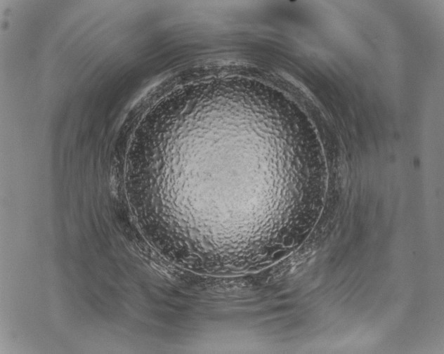 X0000076250823200609281137