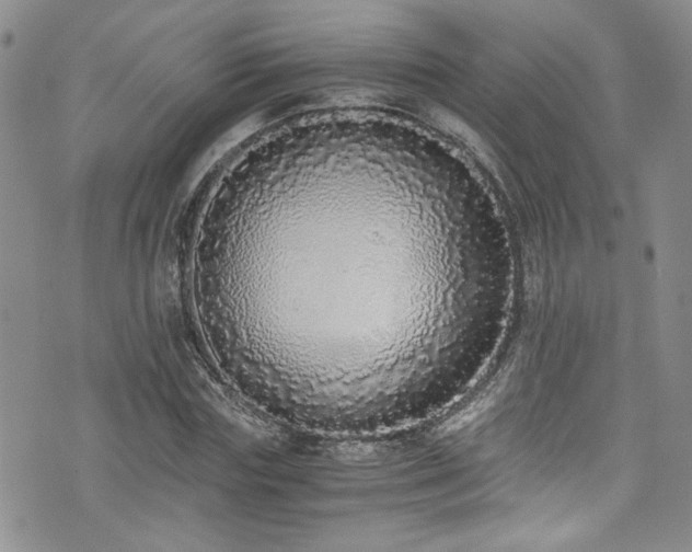 X0000076250827200609281137