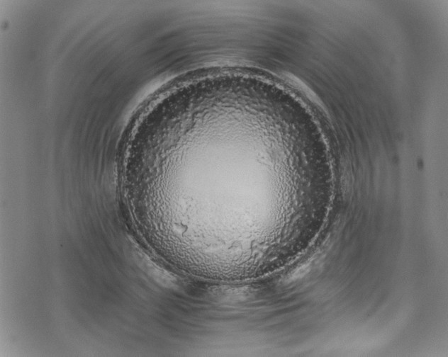 X0000076250831200609281137