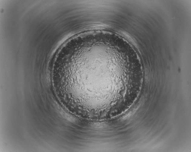 X0000076250835200609281137